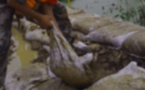 抗洪的心得體會范文(通用5篇)