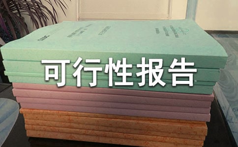 項(xiàng)目可行性報(bào)告大全(15篇)