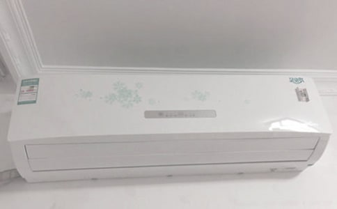 ���{�������