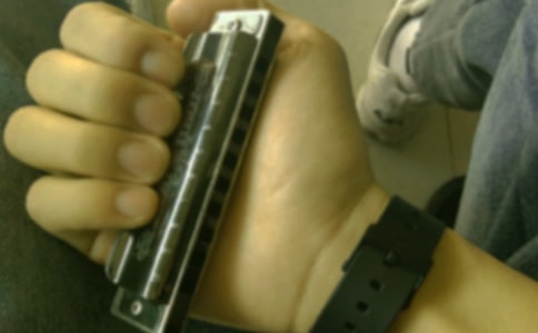 ����������x�����