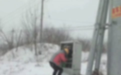 �����W�j�Ԓ�͑����P���s�f�h��