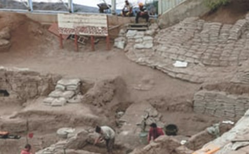 �V���H����Z100��