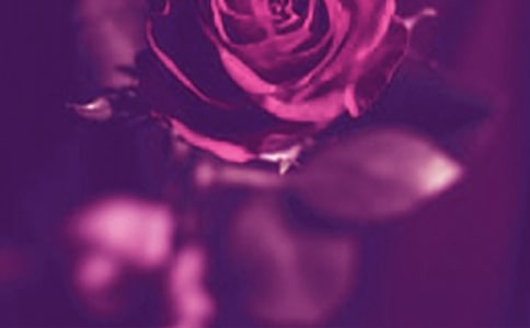 ����˵��������Ԓ�Z