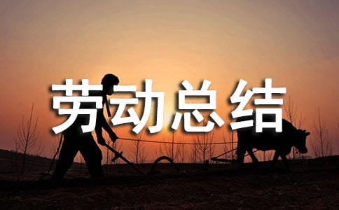 勞動周勞動總結(jié)(精選12篇)