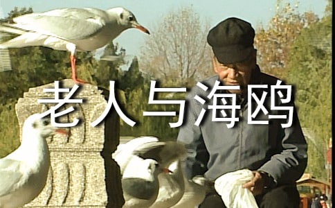 �x�����c���t�и�800��5ƪ