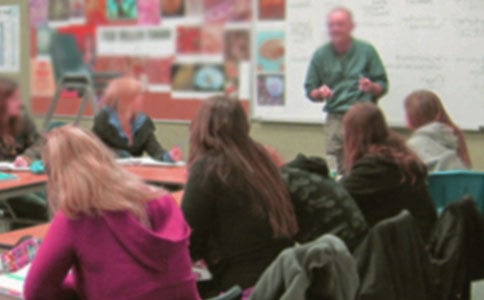 ף���ώ���Ԓ��(y��u)��