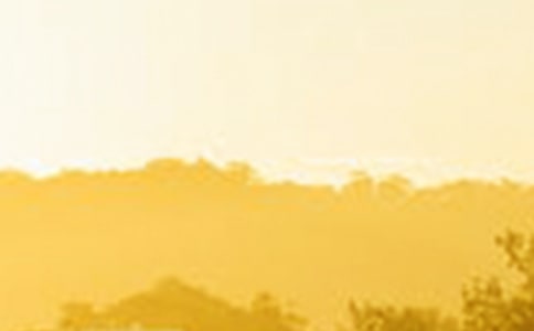 �̲�ס�u�ε�����Ԋ��