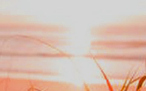 �������������������S�P