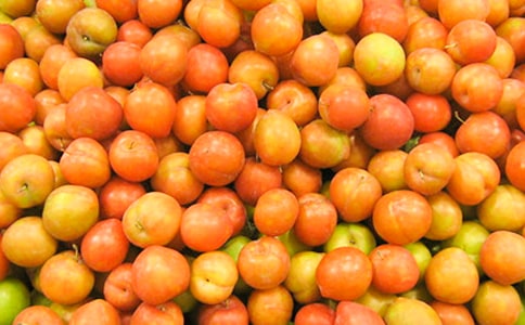 �茑���ӻ�������Ԋ��