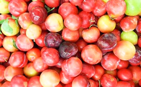 總結李子蜜餞的做法