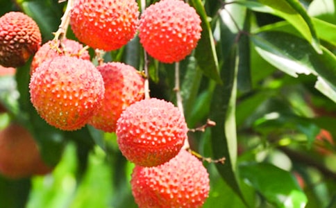 ���������е��r��֦���x���500��