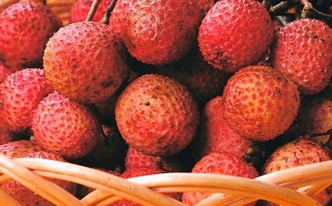 ����֦���̰��OӋ