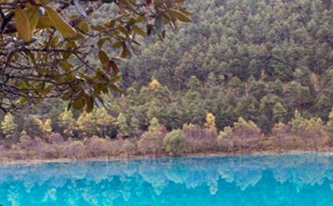 ���������ųǵČ����~10ƪ