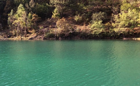 �P�������ųǵČ����~