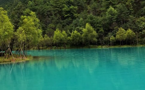 �P�ڡ����M�������̌W�OӋ