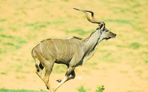 ��������Ĺ�ݡ��x���