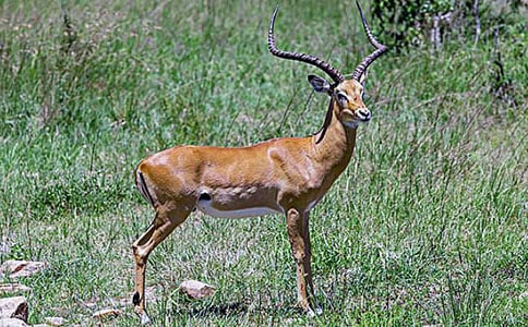 ������ľ�񡷏�֮·