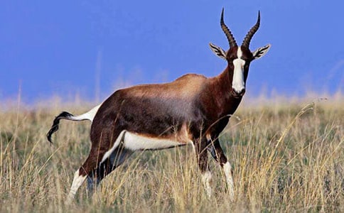 ������ľ�񡷵ľ������Y