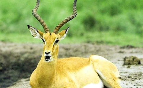 ������ľ��ͬ������ԇ�}����