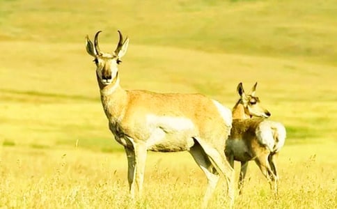 ����ľ����xӖ(x��n)������