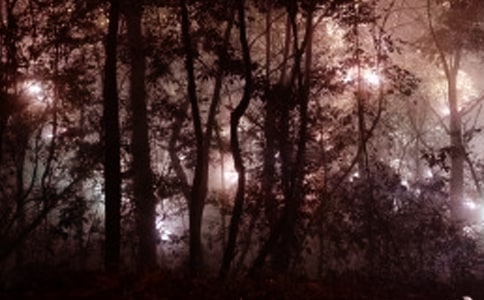 �賿�с�˯�������f�f ��ҹ˯�����ĸп��f�f