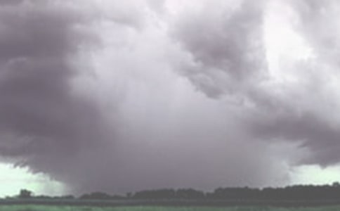 ���������L(f��ng)����