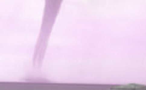 һ������LС�W���꼉��ӛ