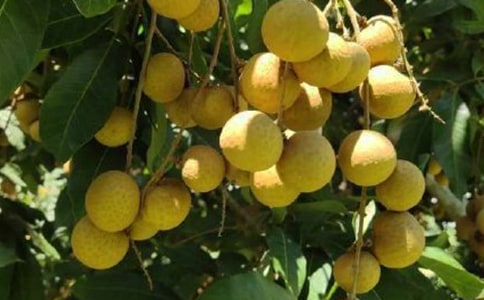 �P�����ۘ�����7ƪ