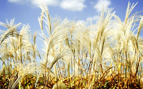 �JȔ(��һ��)��Ԋ��