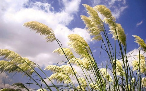 �JȔ���Ĝ�ů��x���⼰������