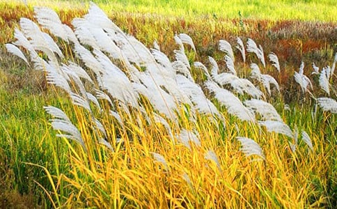 ���JȔ�c�ˡ�����x��