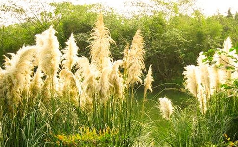 ���е��JȔ?sh��)���x��