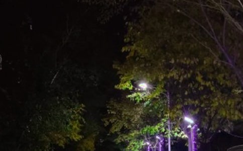 ҹ��·�����f�f