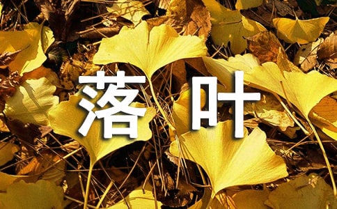 關(guān)于落葉常識(shí)的教學(xué)設(shè)計(jì)