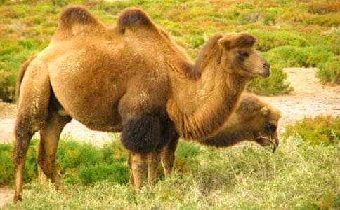 ���x�����x����xԇ�}Ӗ������