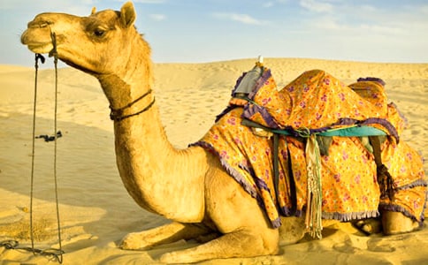 �������x��У�ͨ��14ƪ��