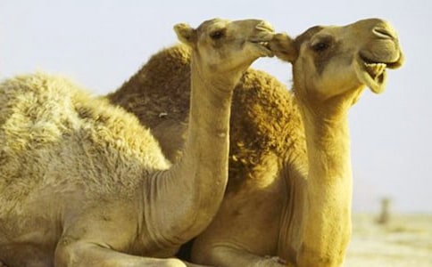 ����̰�����8ƪ