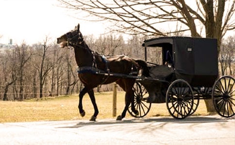 ������衷�c���ҳ���С�R܇������̰�