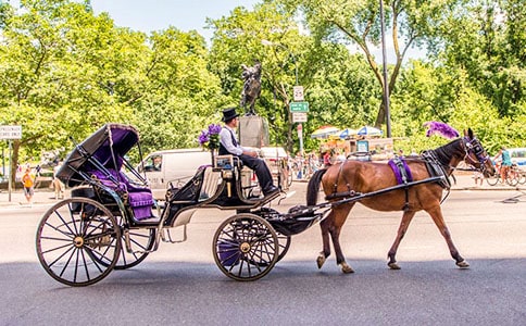 《時(shí)間像小馬車》優(yōu)秀教學(xué)反思范文