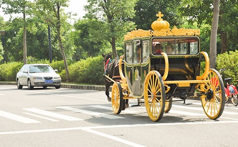 �W(w��ng)�j(lu��)�n���r(sh��)�g��С�R܇���̌W(xu��)��˼����