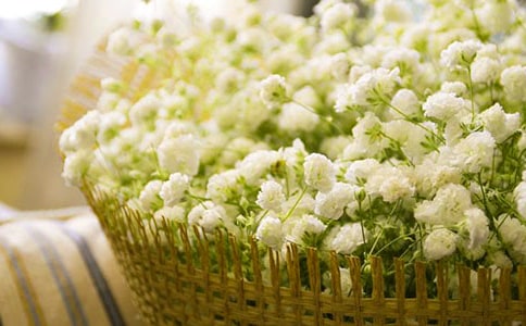 滿天星初一學生作文