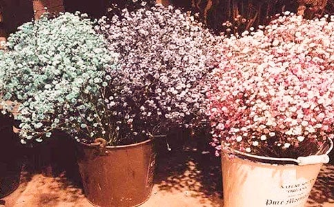 �M���ǵ�ϣ������