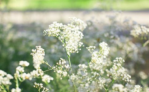 �M���ǈDƬ���Z