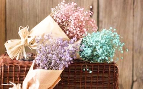 讀《滿天星斗》有感