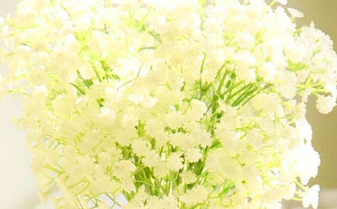 �M���ǵĻ��Z�͈DƬ