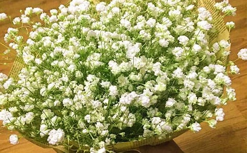 �M���ǻ��Z(y��)��ȫ���DƬ