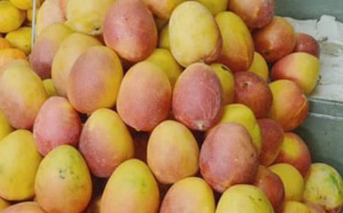 �P(gu��n)��â�����f�f����