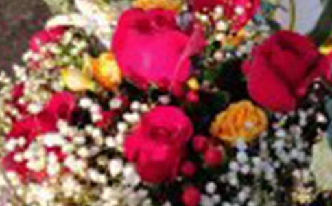 �n��С¹��õ�廨�̌W(xu��)�O(sh��)Ӌ(j��)