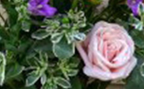 �˴˵�õ��Ԋ��