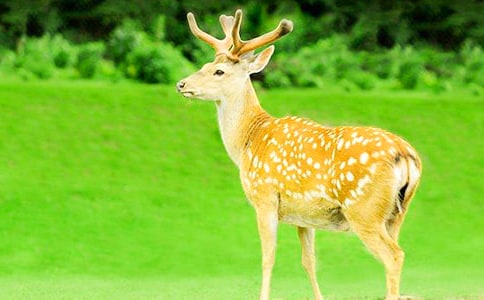 �i����÷��¹���i�Z